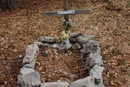 DSC1 (61).jpg